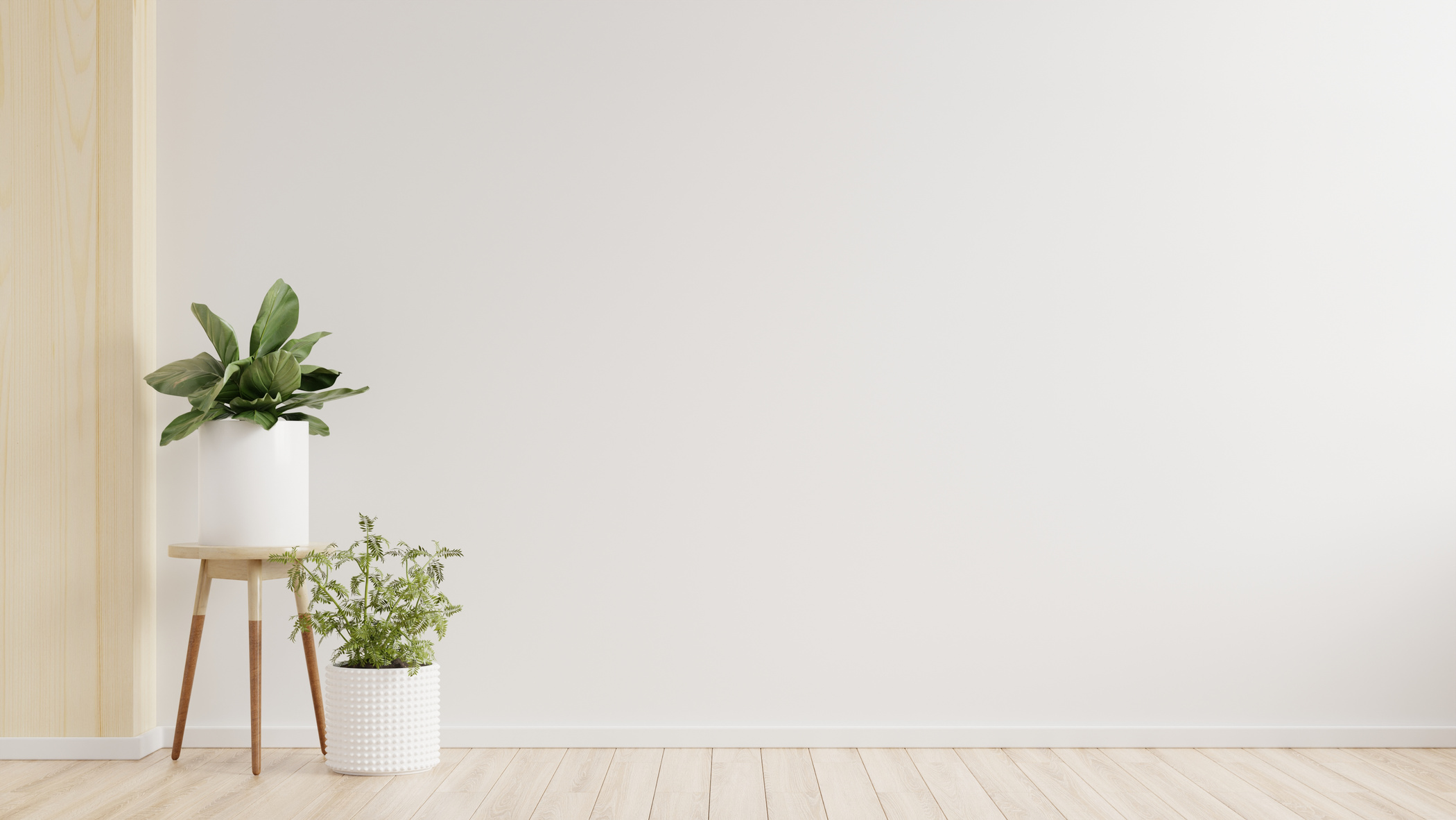 White Wall Empty Room with Plants on a Floor.